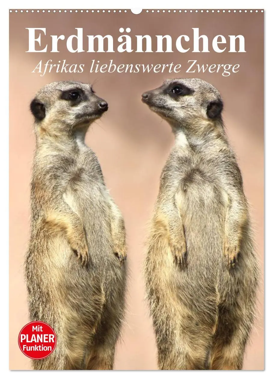 Cover: 9783516436631 | Erdmännchen - Afrikas liebenswerte Zwerge (Wandkalender 2026 DIN A2...