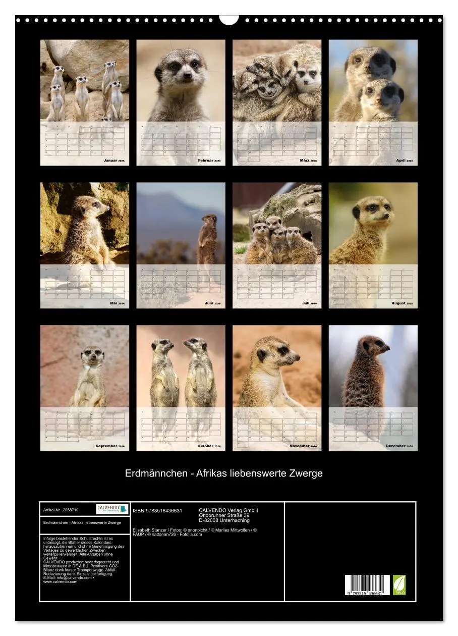 Bild: 9783516436631 | Erdmännchen - Afrikas liebenswerte Zwerge (Wandkalender 2026 DIN A2...