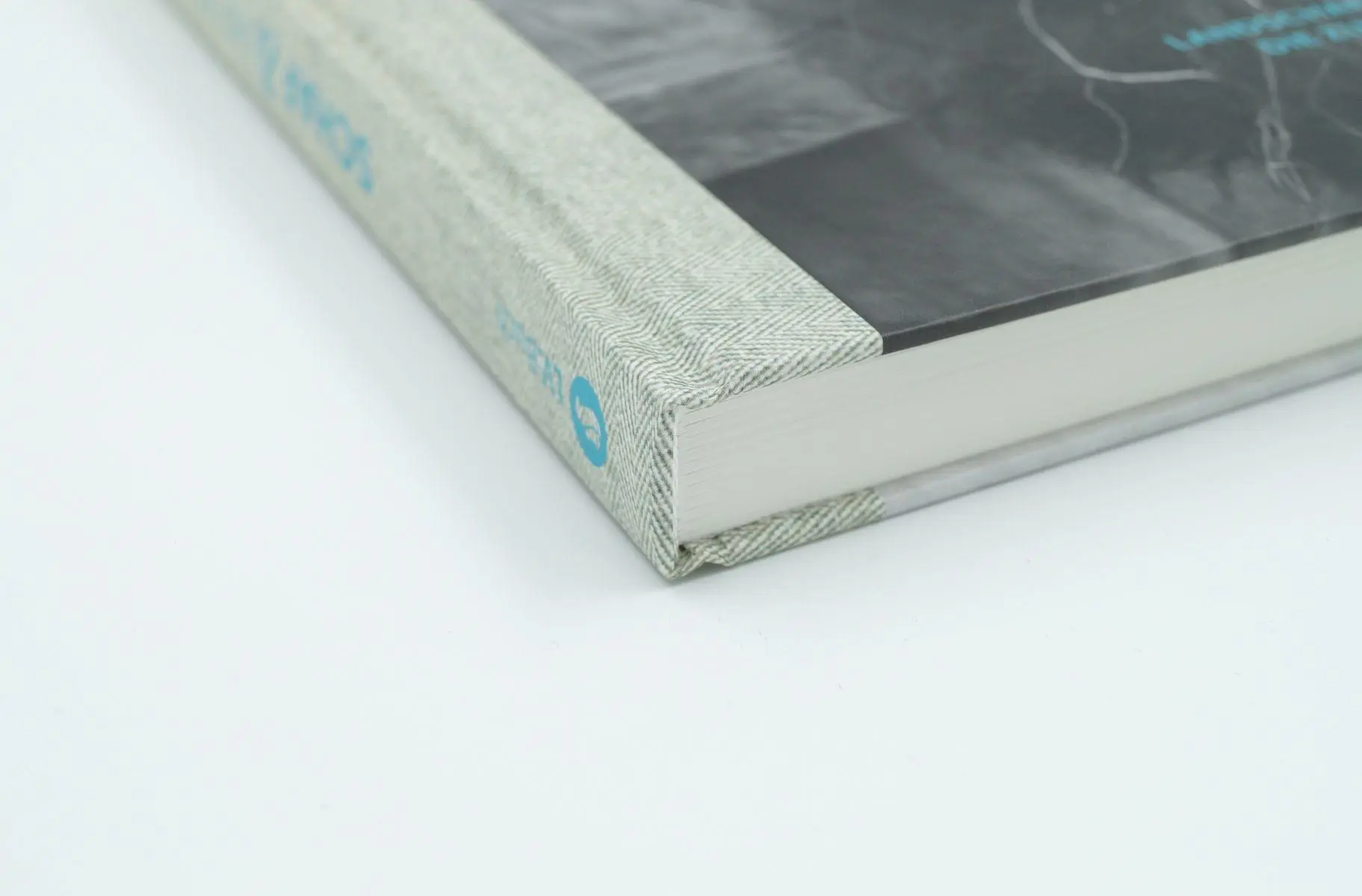 Bild: 9783784356631 | Schaf und Mensch | Nina Sieverding (u. a.) | Buch | 176 S. | Deutsch