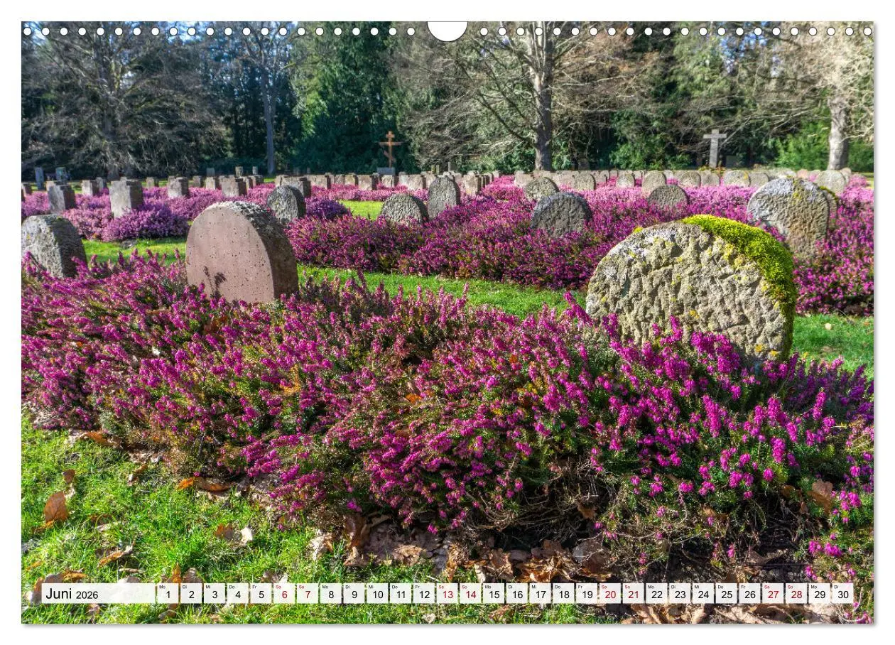 Bild: 9783457266731 | Niedersachsen - Göttingen (Wandkalender 2026 DIN A3 quer), CALVENDO...
