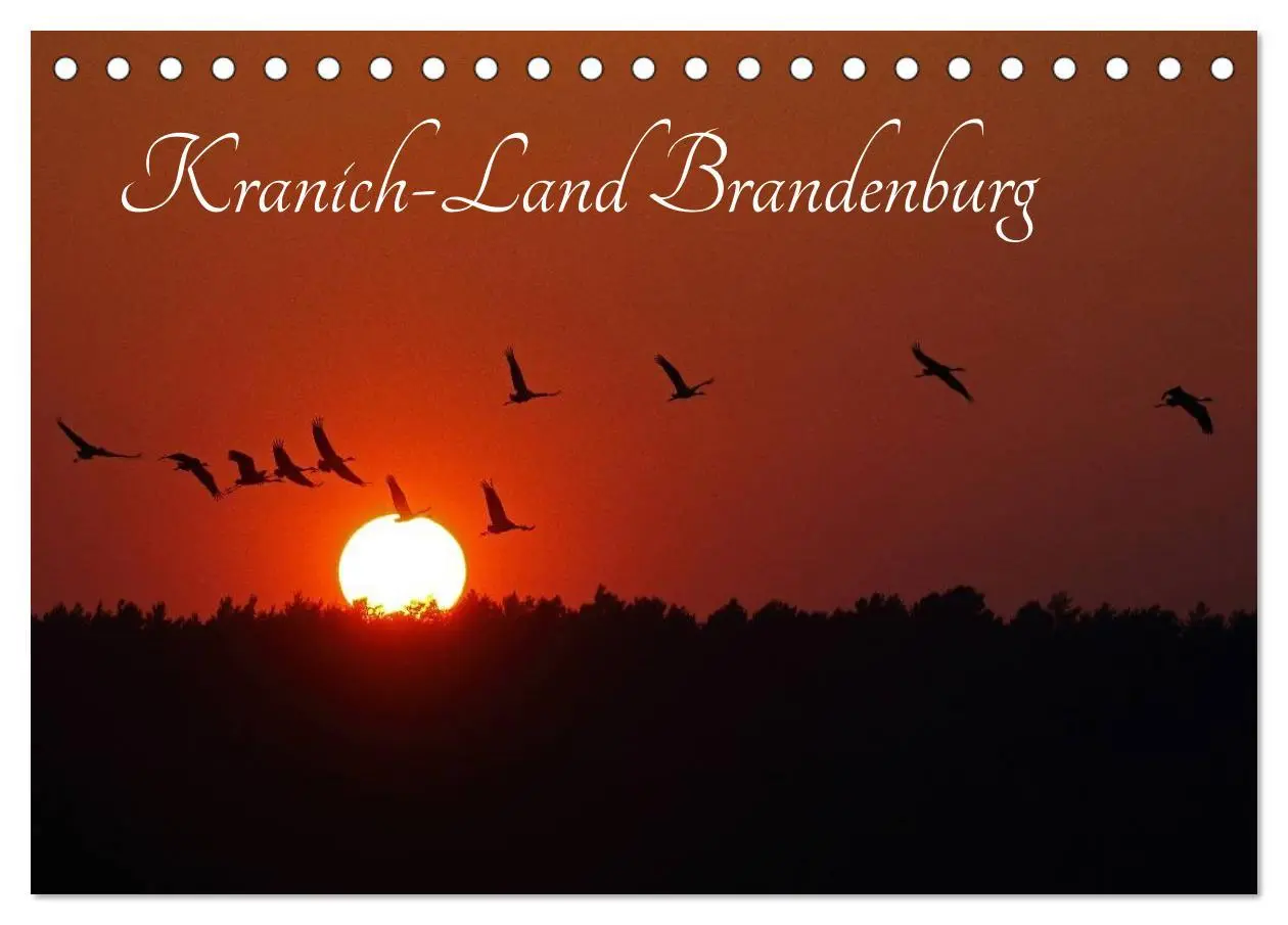 Cover: 9783516116731 | Kranich-Land Brandenburg (Tischkalender 2026 DIN A5 quer), CALVENDO...