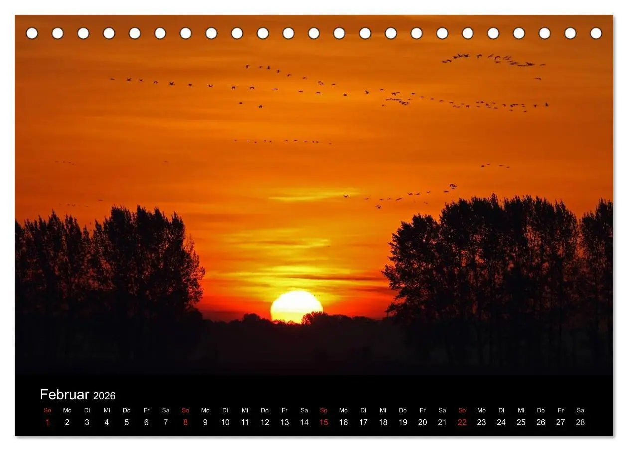 Bild: 9783516116731 | Kranich-Land Brandenburg (Tischkalender 2026 DIN A5 quer), CALVENDO...