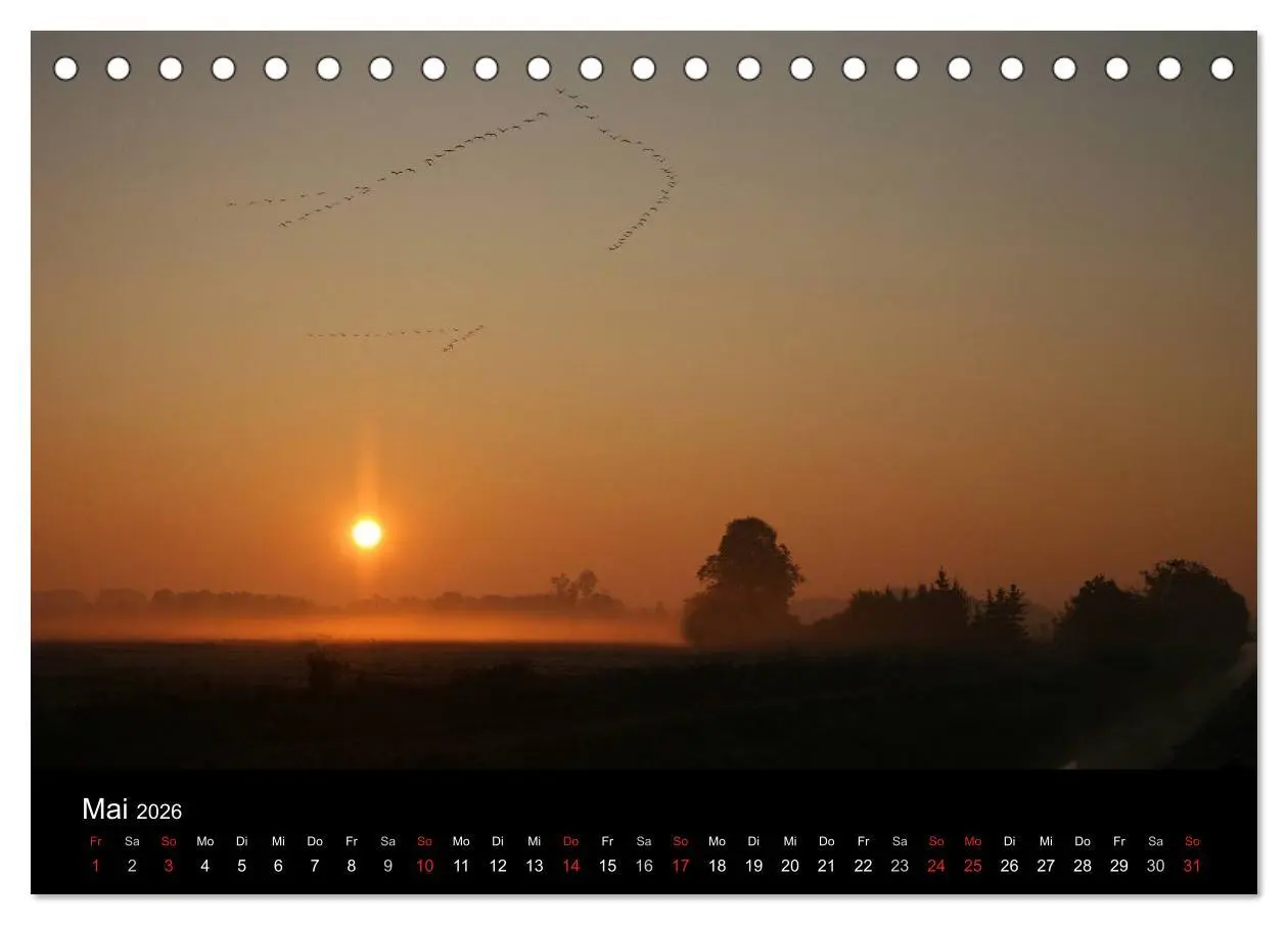Bild: 9783516116731 | Kranich-Land Brandenburg (Tischkalender 2026 DIN A5 quer), CALVENDO...