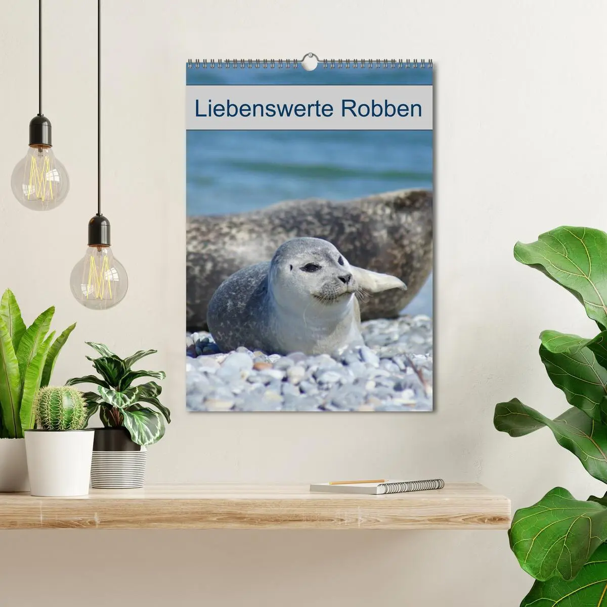 Bild: 9783516426731 | Liebenswerte Robben (Wandkalender 2026 DIN A3 hoch), CALVENDO...