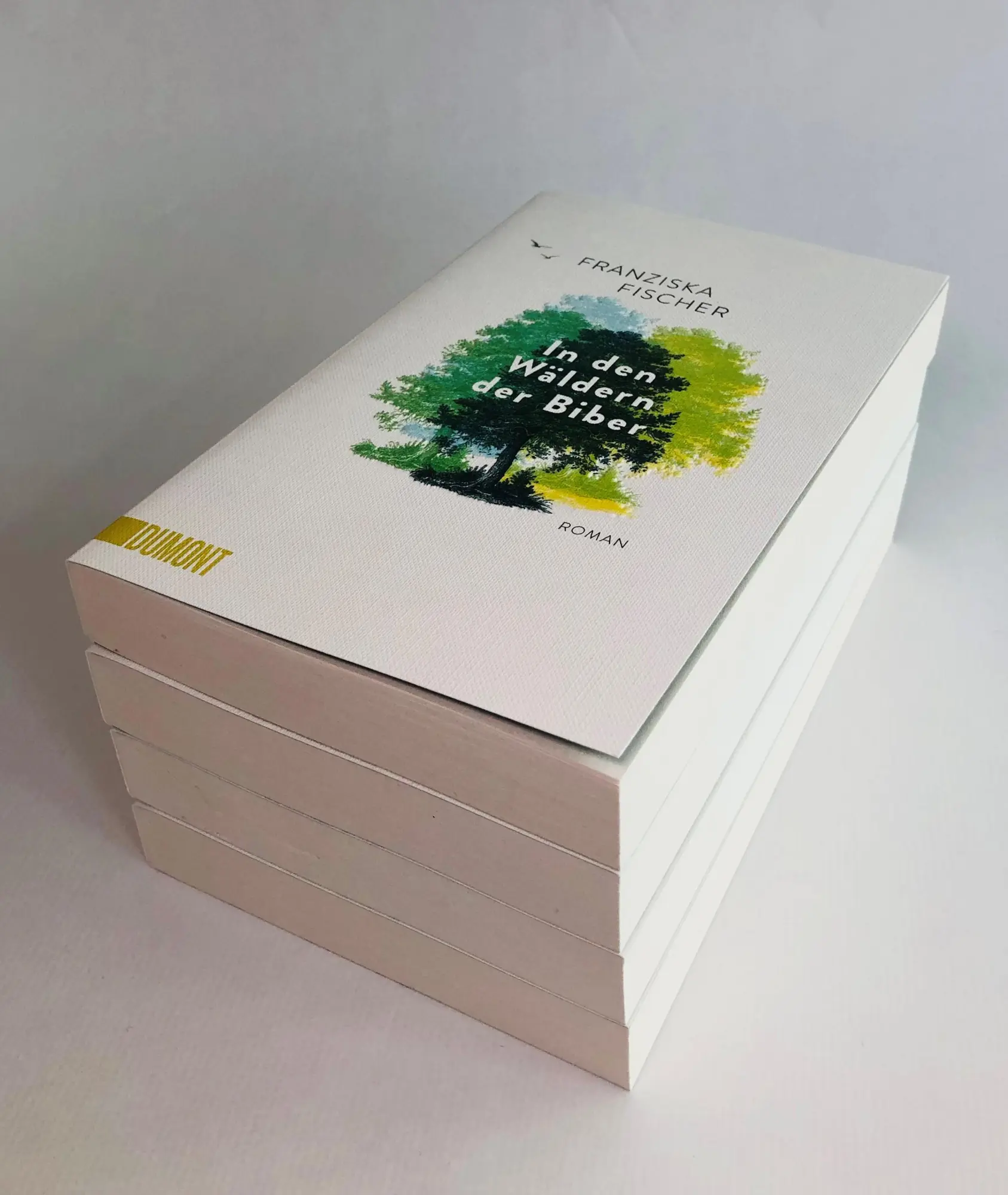 Bild: 9783832166731 | In den Wäldern der Biber | Roman | Franziska Fischer | Taschenbuch