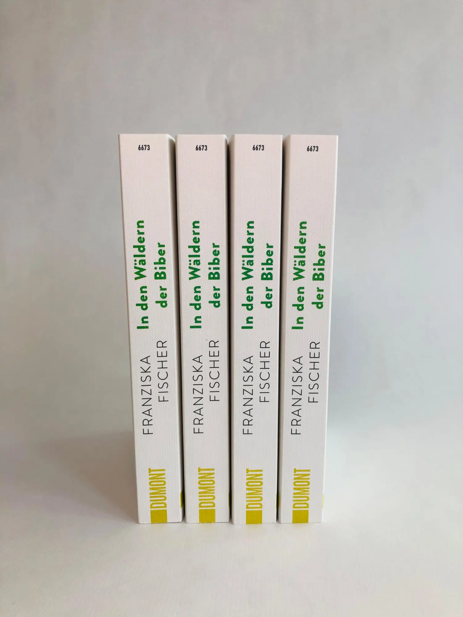 Bild: 9783832166731 | In den Wäldern der Biber | Roman | Franziska Fischer | Taschenbuch
