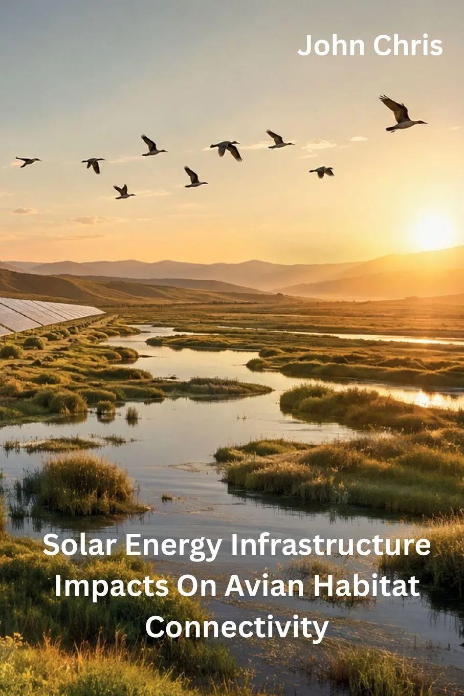 Cover: 9781962116831 | Solar Energy Infrastructure Impacts on Avian Habitat Connectivity
