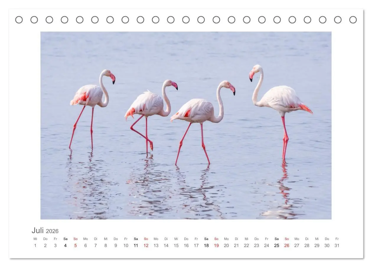 Bild: 9783457636831 | Namibia - unterwegs mit Julia Hahn (Tischkalender 2026 DIN A5...