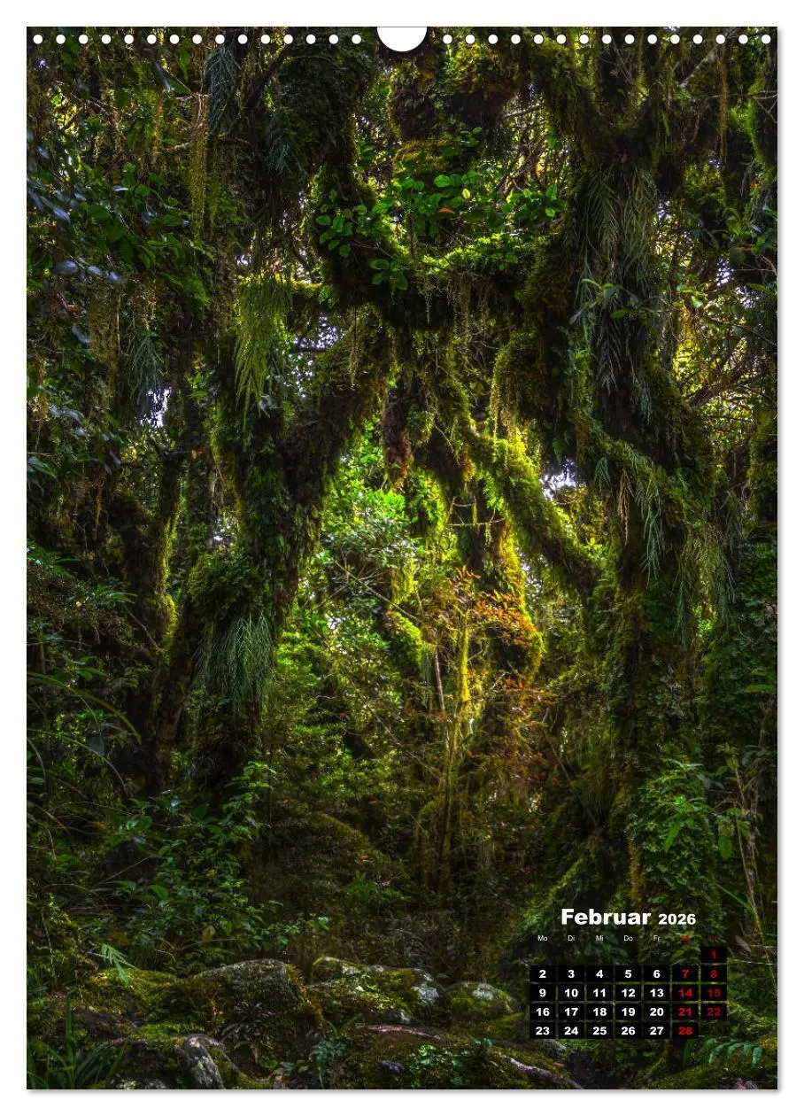 Bild: 9783516416831 | Neuseeland, Inseln der Träume (Wandkalender 2026 DIN A3 hoch),...