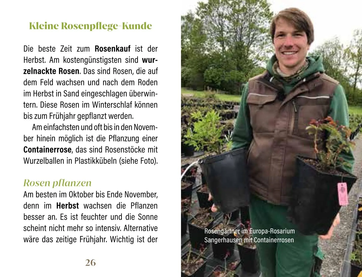 Bild: 9783897986831 | Rosen für Genießer | Heike Mohr | Buch | Minibibliothek | 128 S.