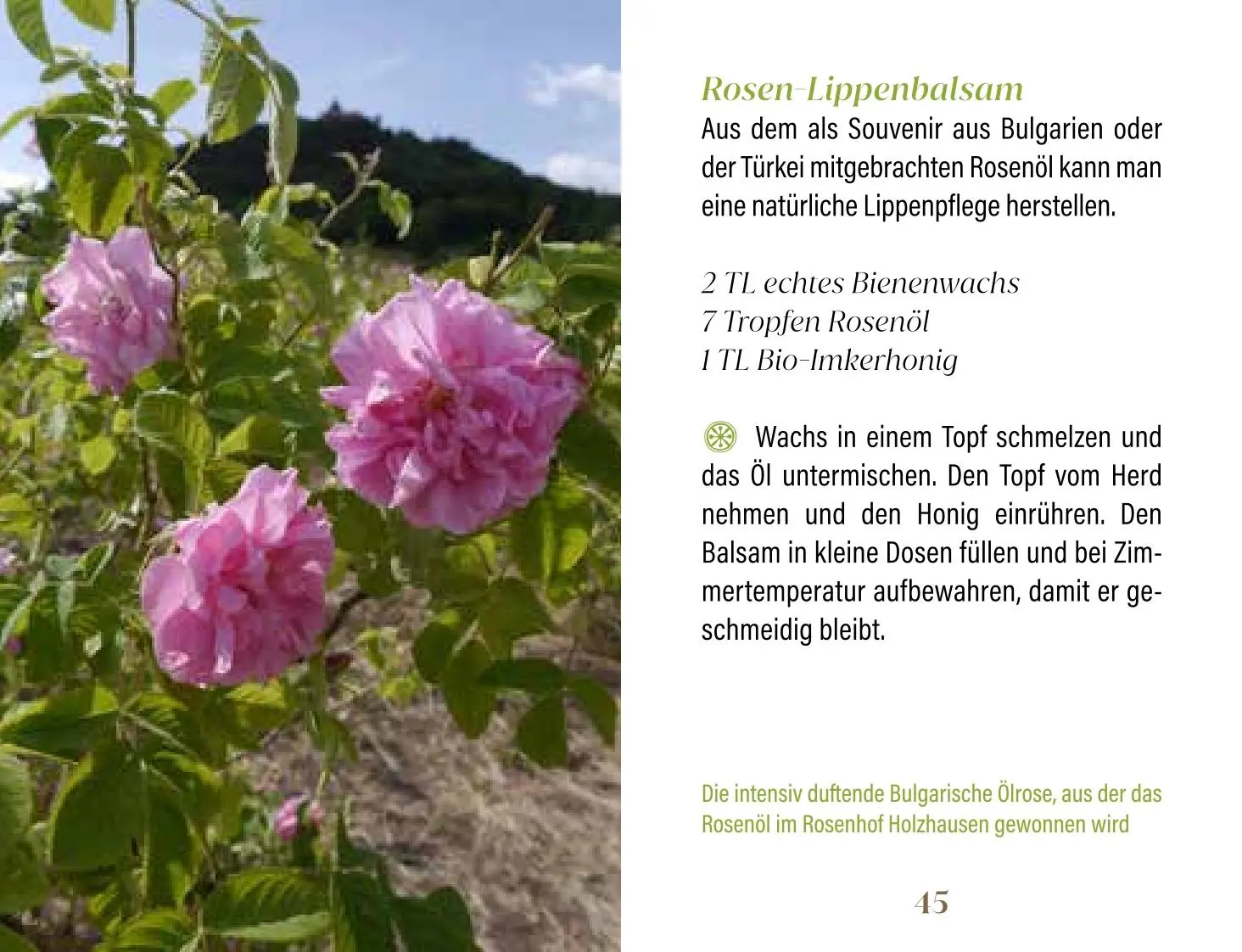 Bild: 9783897986831 | Rosen für Genießer | Heike Mohr | Buch | Minibibliothek | 128 S.
