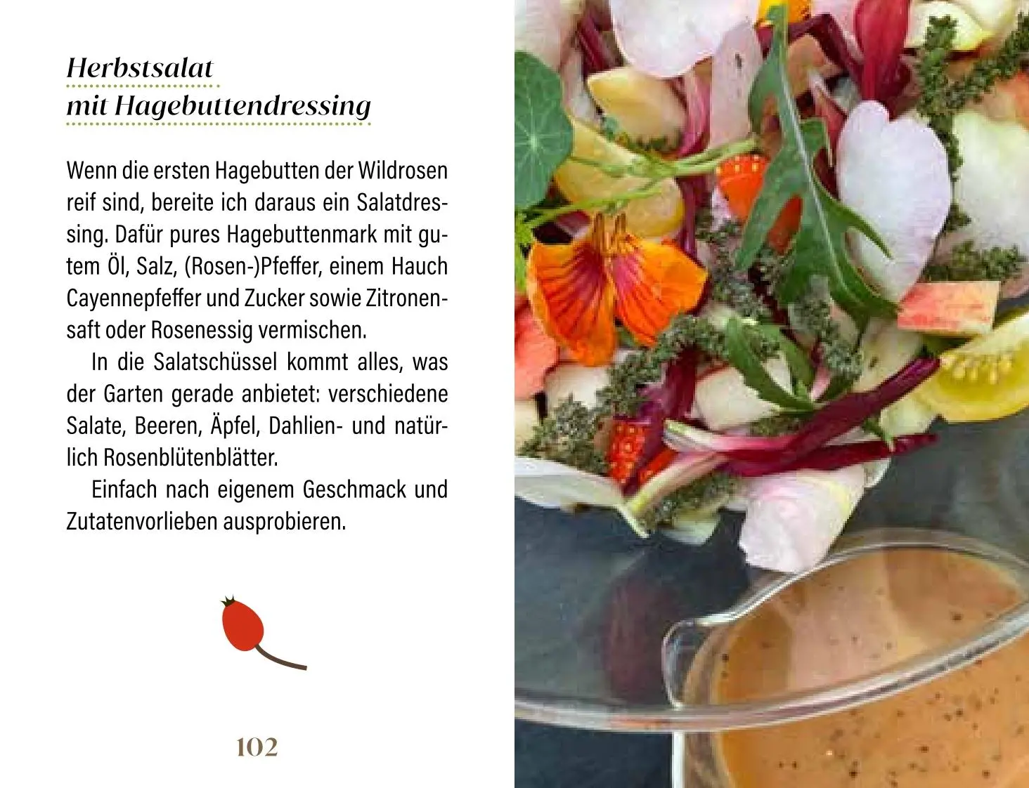 Bild: 9783897986831 | Rosen für Genießer | Heike Mohr | Buch | Minibibliothek | 128 S.
