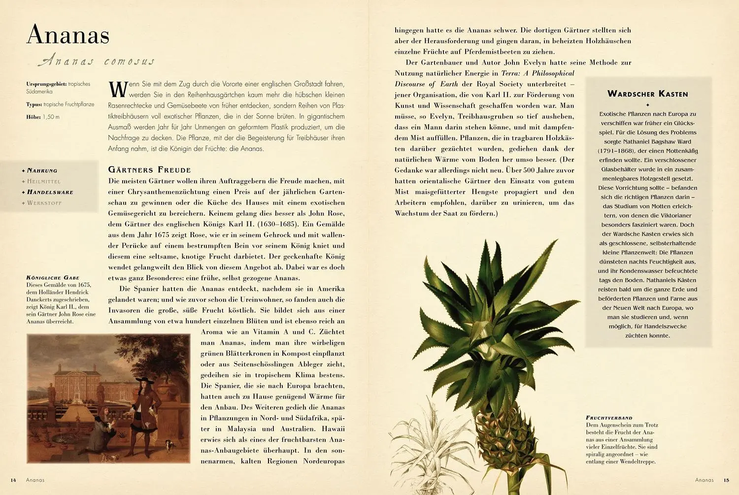 Bild: 9789463596831 | 50 Pflanzen | Bill Laws | Taschenbuch | 224 S. | Deutsch | 2025