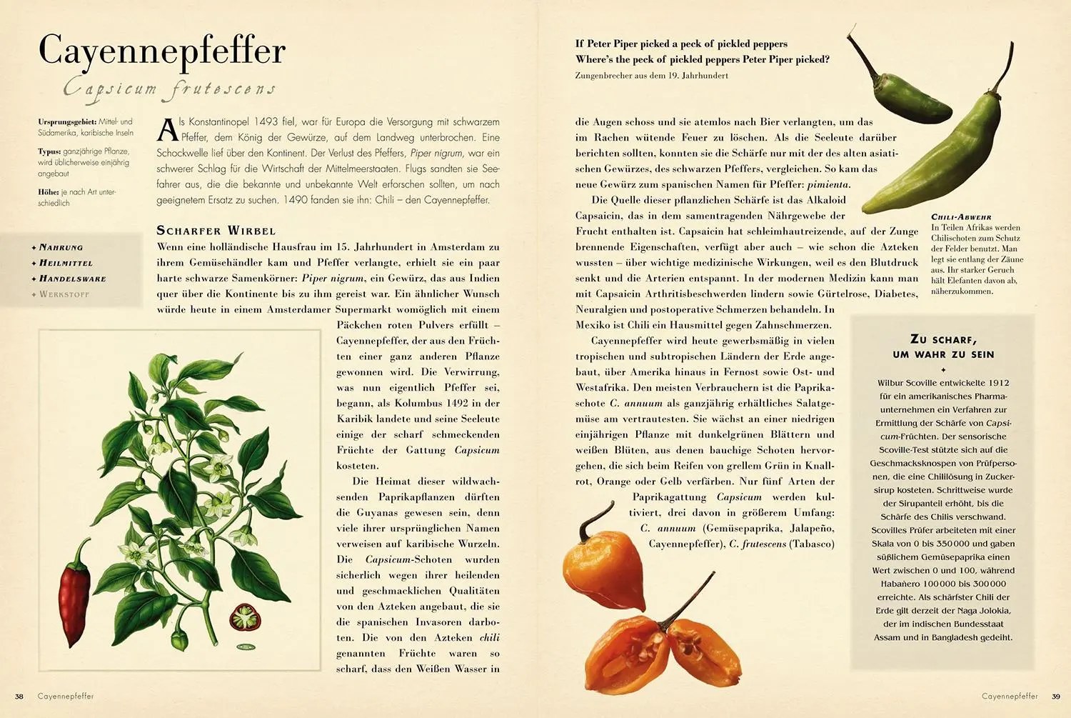 Bild: 9789463596831 | 50 Pflanzen | Bill Laws | Taschenbuch | 224 S. | Deutsch | 2025
