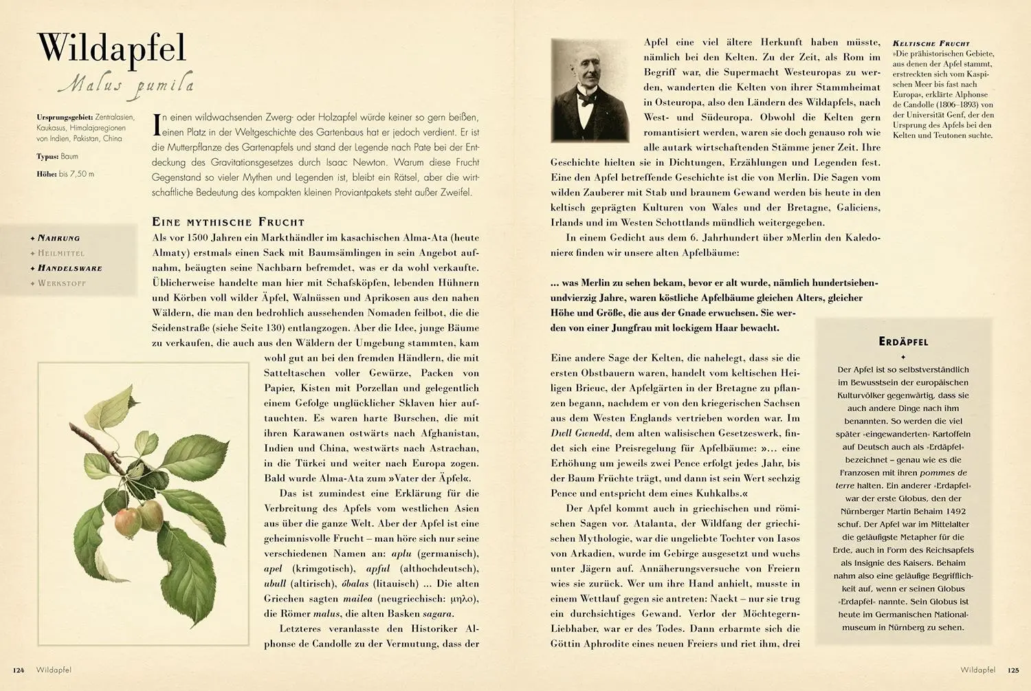 Bild: 9789463596831 | 50 Pflanzen | Bill Laws | Taschenbuch | 224 S. | Deutsch | 2025