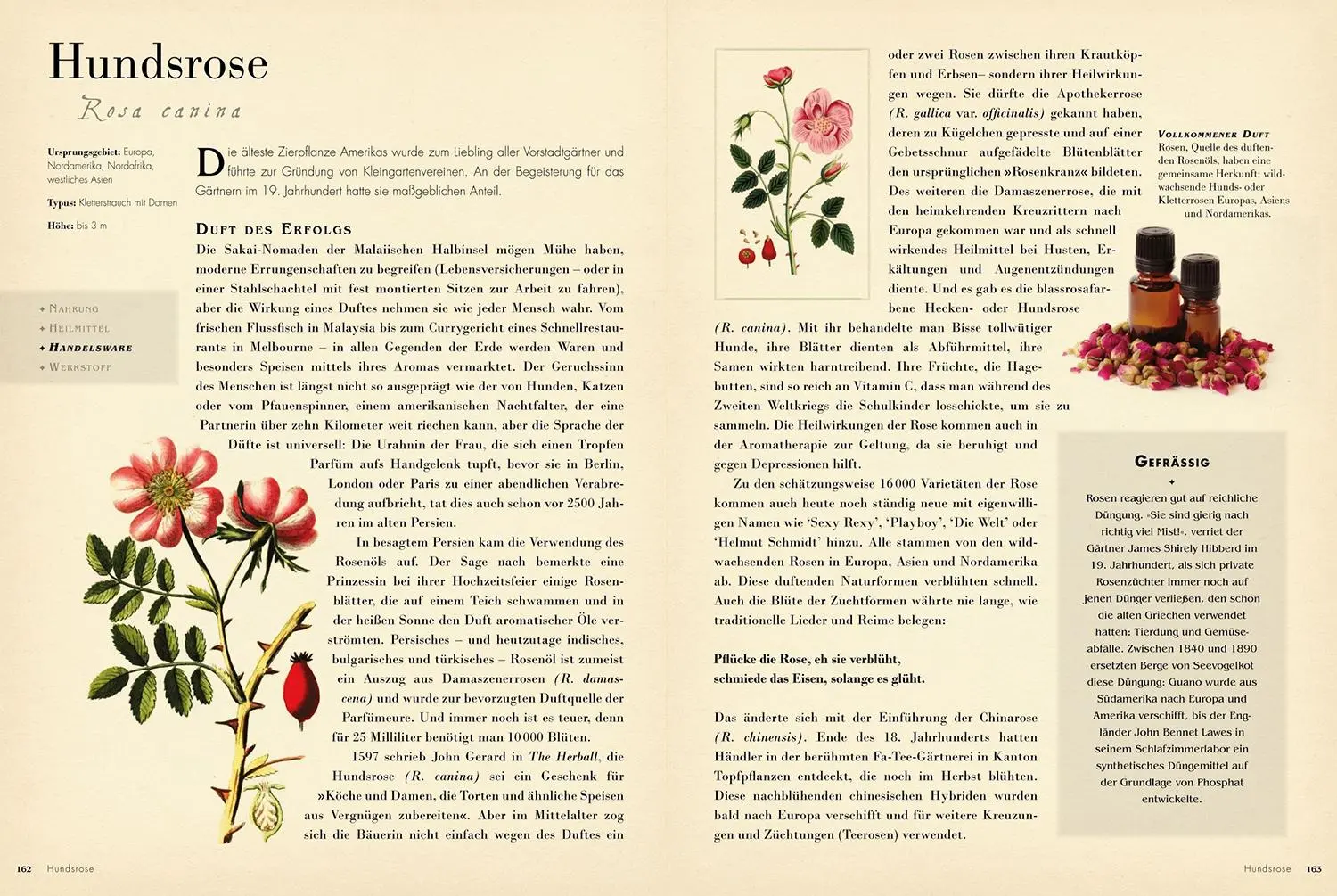 Bild: 9789463596831 | 50 Pflanzen | Bill Laws | Taschenbuch | 224 S. | Deutsch | 2025