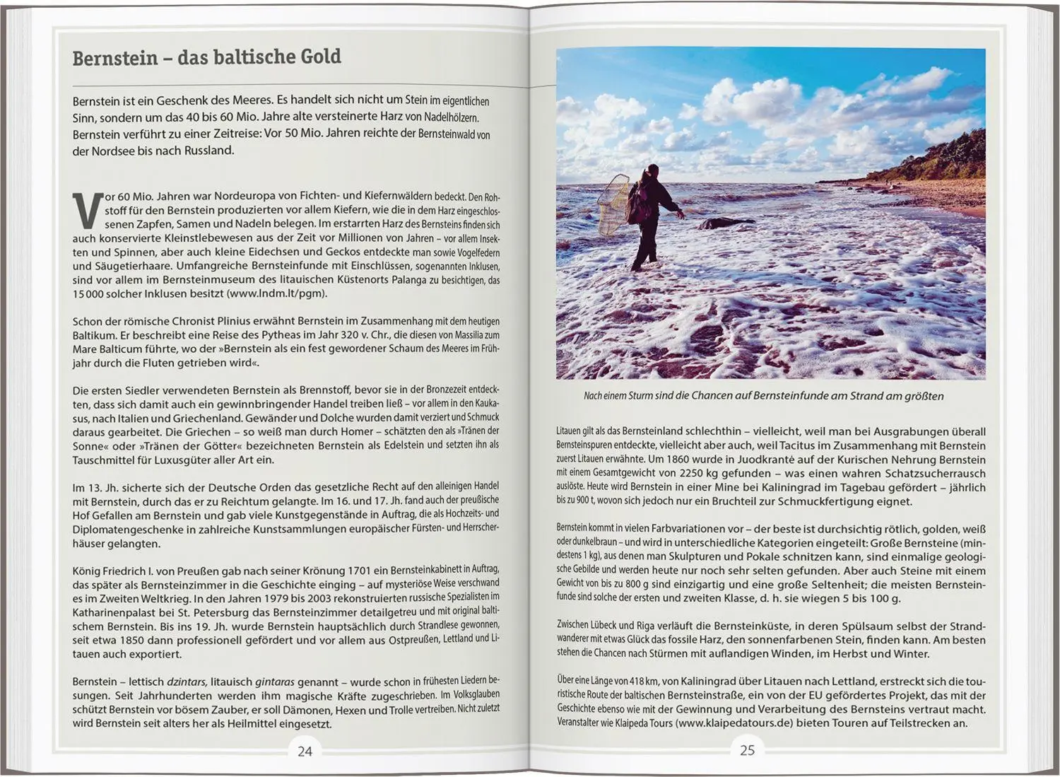 Bild: 9783616016931 | DUMONT Reise-Handbuch Reiseführer Baltikum | mit Extra-Reisekarte