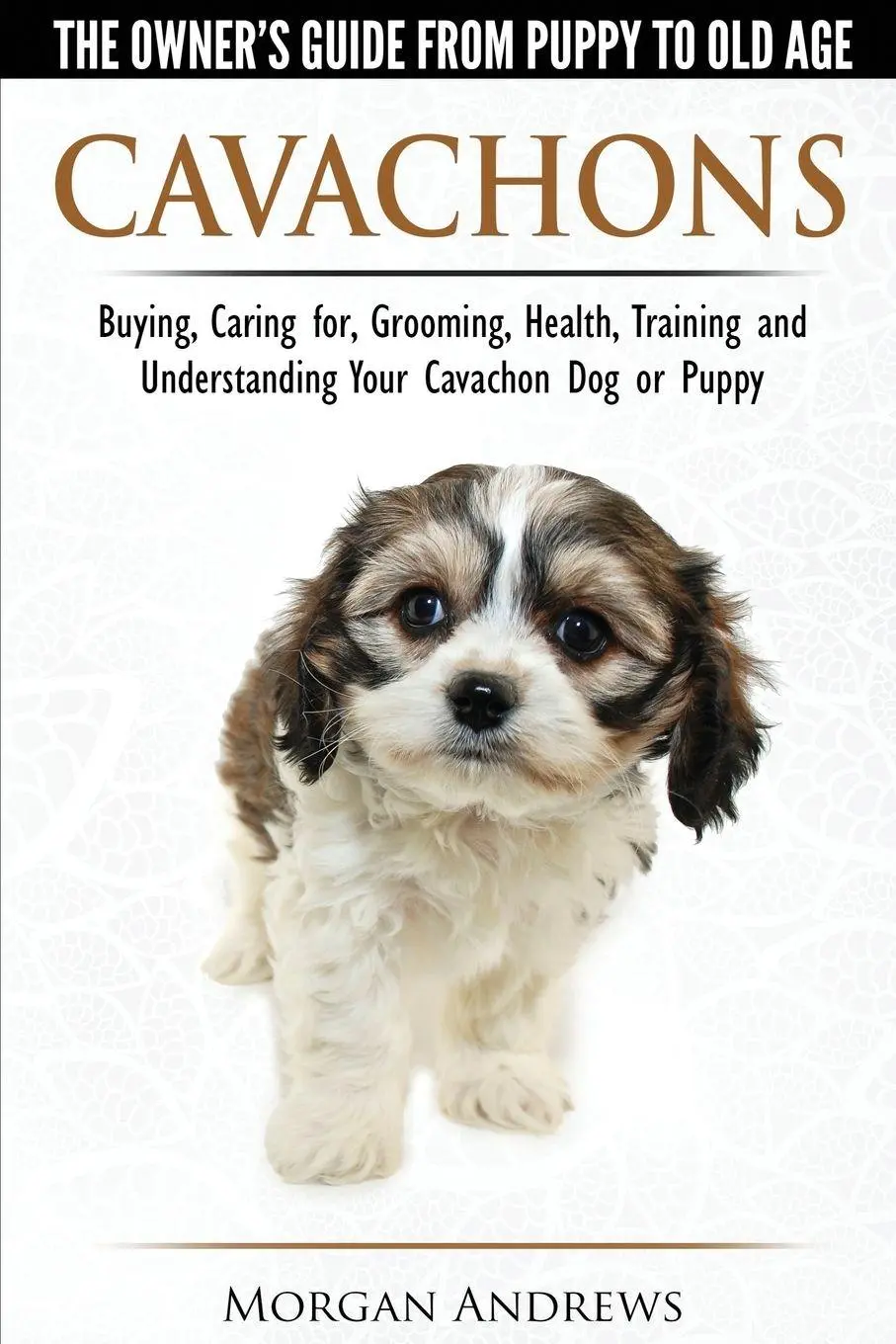 Cover: 9781910677131 | Cavachons - The Owner's Guide from Puppy to Old Age - Choosing,...