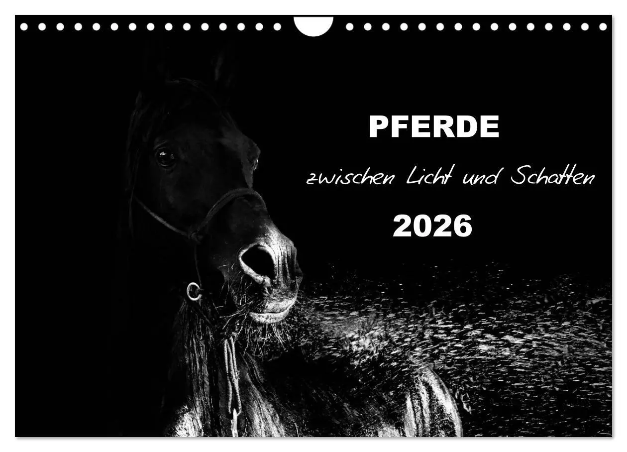 Cover: 9783516077131 | Pferde zwischen Licht und Schatten (Wandkalender 2026 DIN A4 quer),...