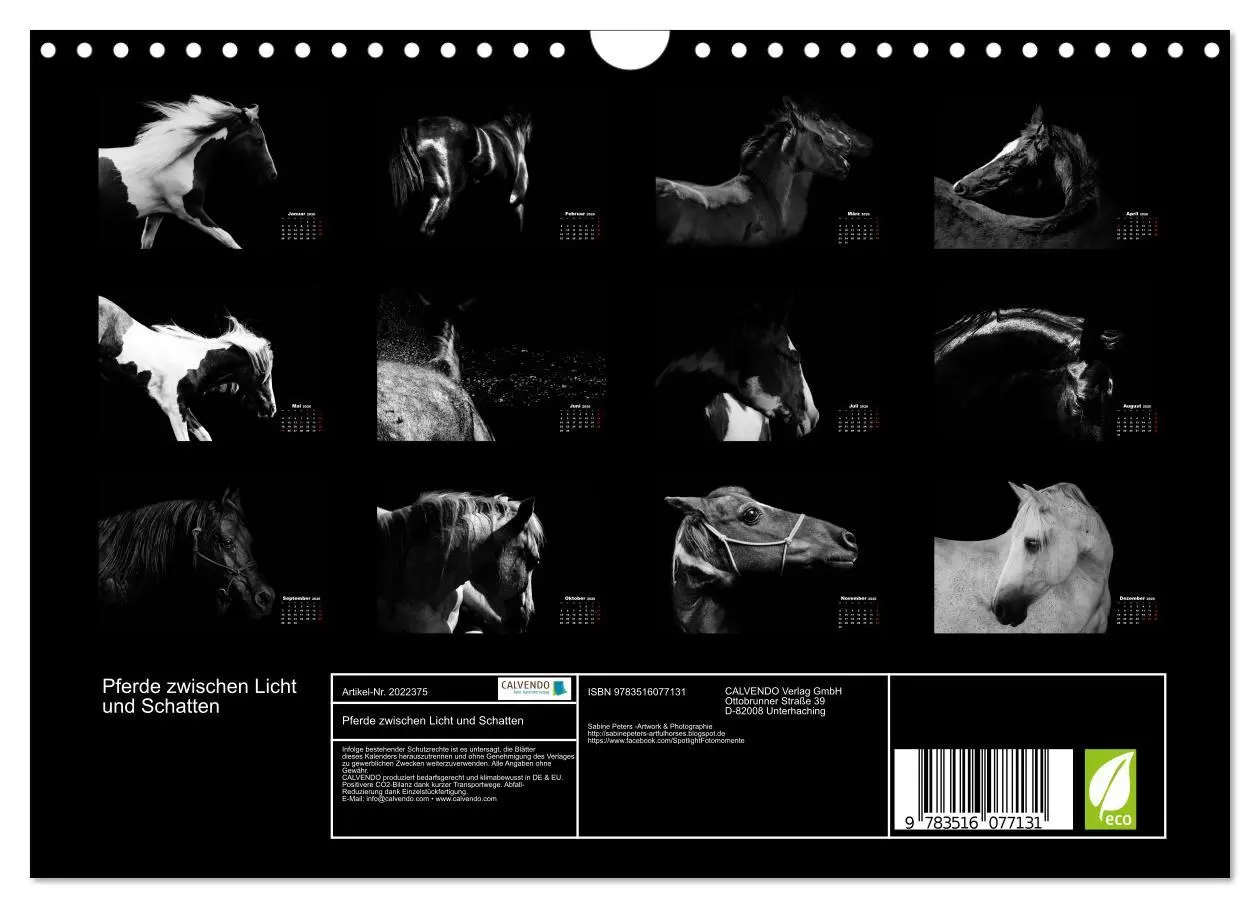 Bild: 9783516077131 | Pferde zwischen Licht und Schatten (Wandkalender 2026 DIN A4 quer),...