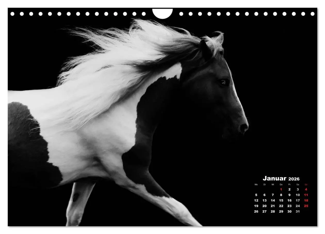 Bild: 9783516077131 | Pferde zwischen Licht und Schatten (Wandkalender 2026 DIN A4 quer),...