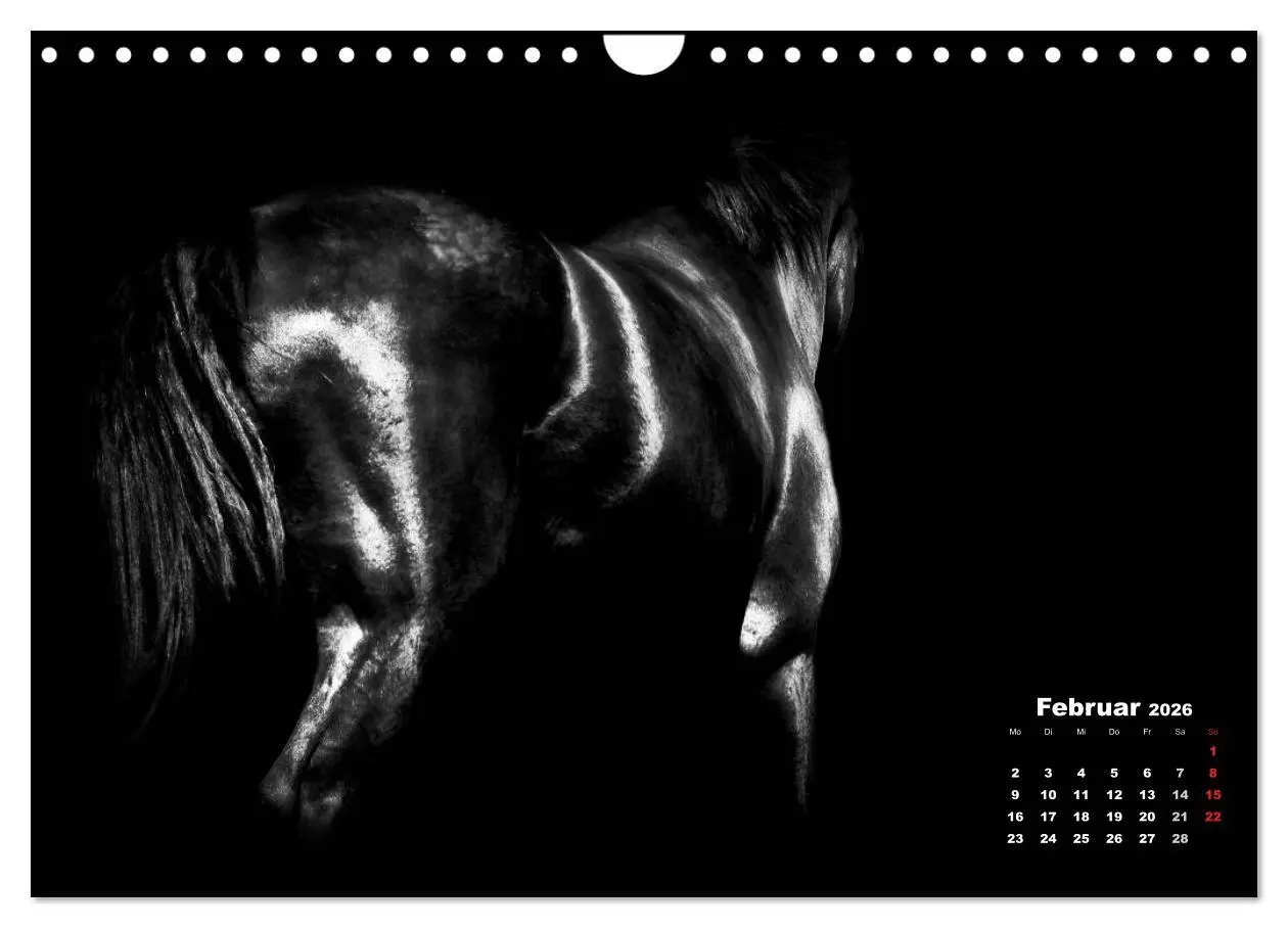 Bild: 9783516077131 | Pferde zwischen Licht und Schatten (Wandkalender 2026 DIN A4 quer),...