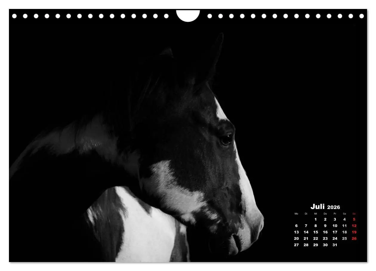 Bild: 9783516077131 | Pferde zwischen Licht und Schatten (Wandkalender 2026 DIN A4 quer),...