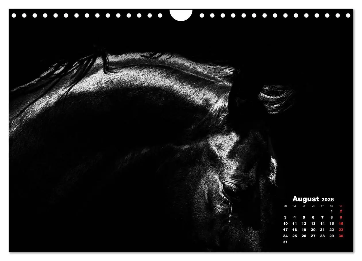 Bild: 9783516077131 | Pferde zwischen Licht und Schatten (Wandkalender 2026 DIN A4 quer),...
