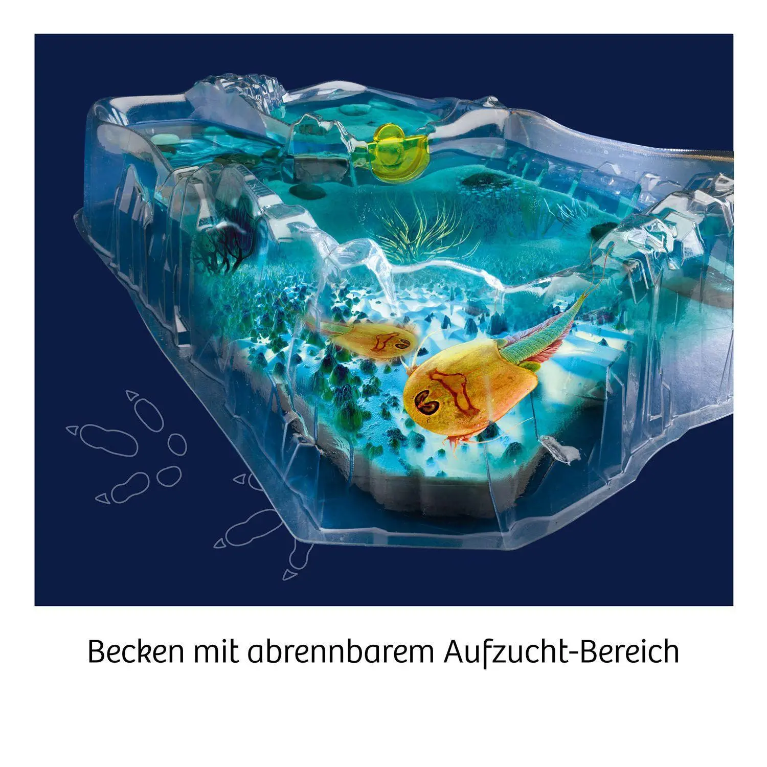 Bild: 4002051637231 | Fun Science Triops züchten | Experimentierkasten | Spiel | Brettspiel