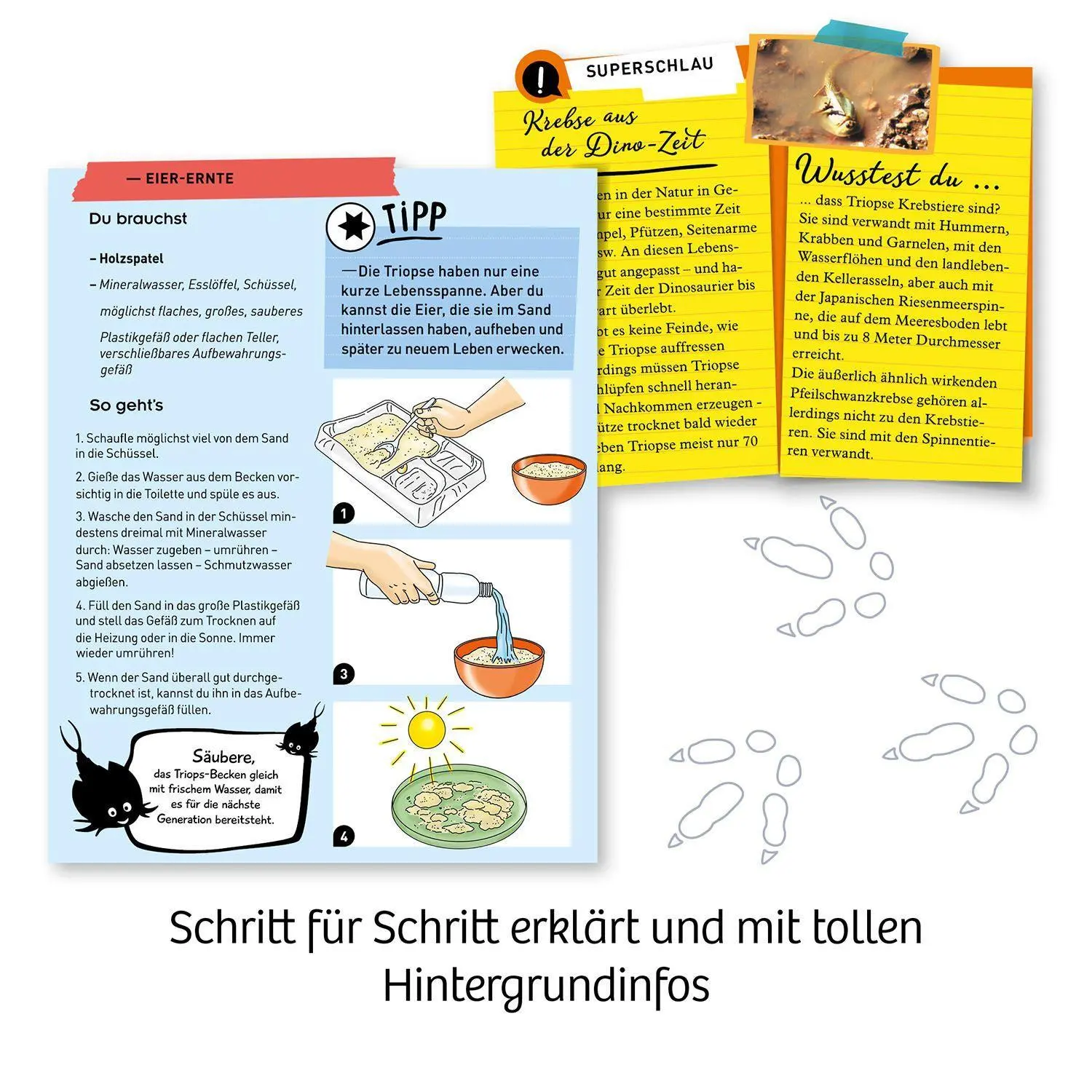 Bild: 4002051637231 | Fun Science Triops züchten | Experimentierkasten | Spiel | Brettspiel