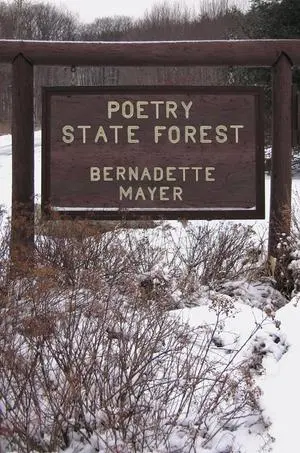 Cover: 9780811217231 | Poetry State Forest | Bernadette Mayer | Taschenbuch | Englisch | 2008
