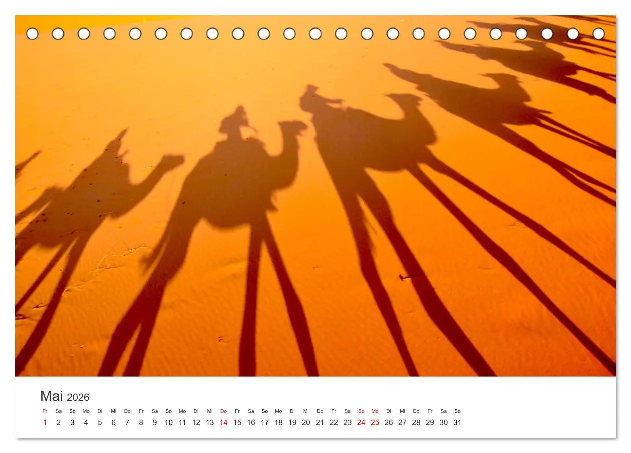 Bild: 9783457427231 | Kamele - die wahren Überlebenskünstler der Wüste. (Tischkalender...