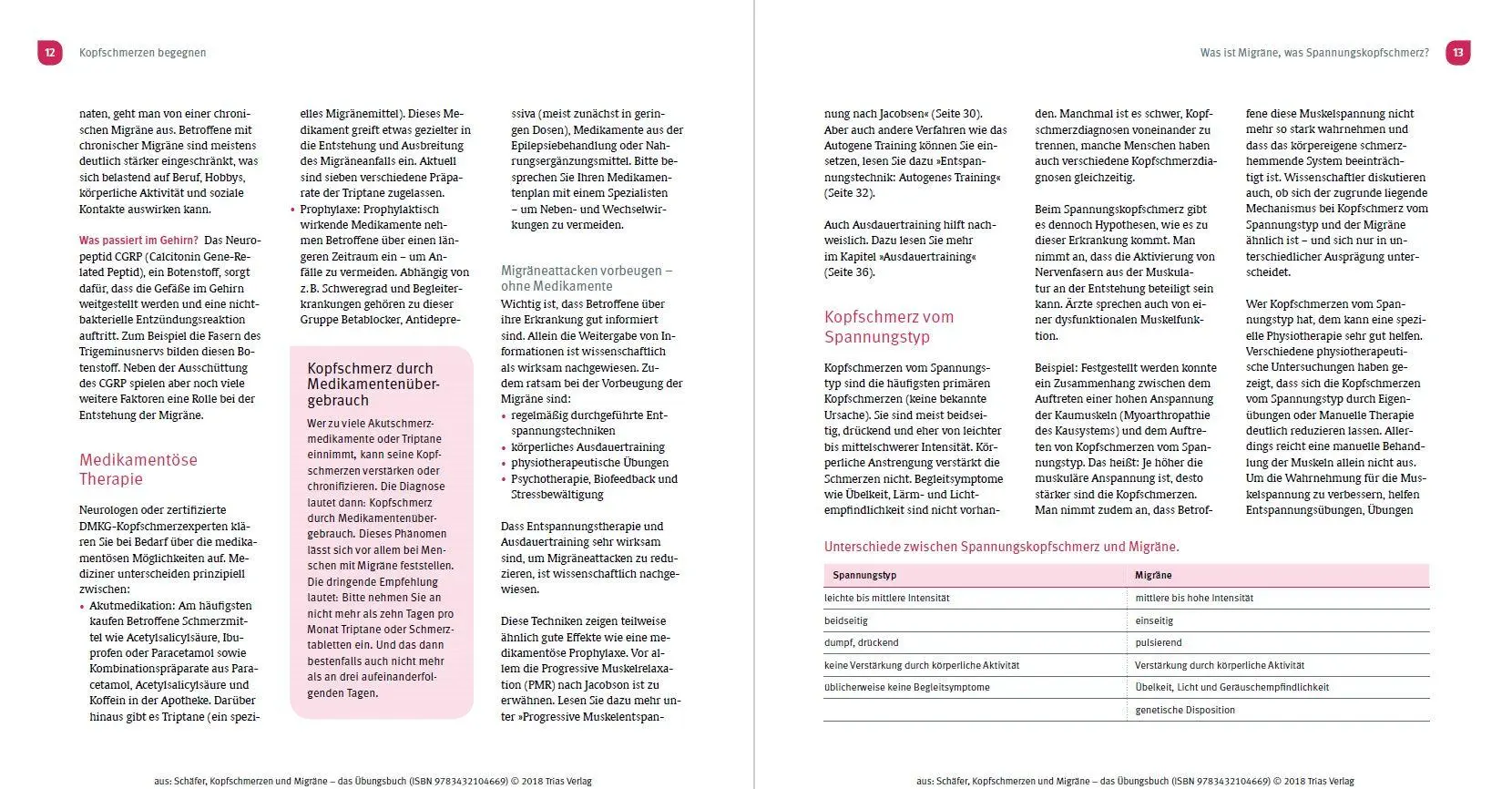 Bild: 9783432117331 | Kopfschmerzen und Migräne - Das Übungsbuch | Benjamin Schäfer | Buch