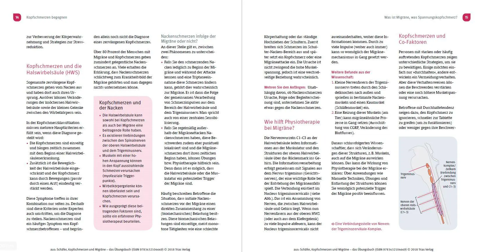 Bild: 9783432117331 | Kopfschmerzen und Migräne - Das Übungsbuch | Benjamin Schäfer | Buch
