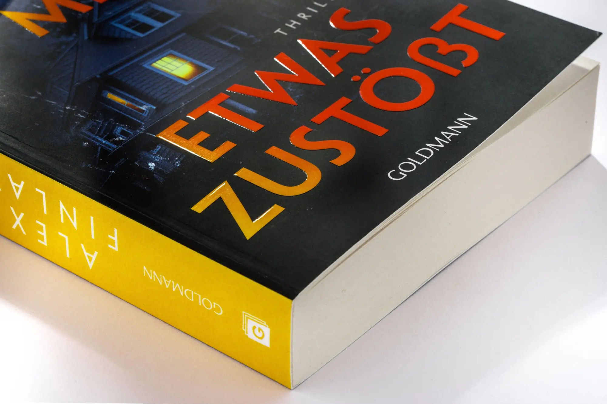 Bild: 9783442497331 | Falls mir etwas zustößt | Alex Finlay | Taschenbuch | 368 S. | Deutsch