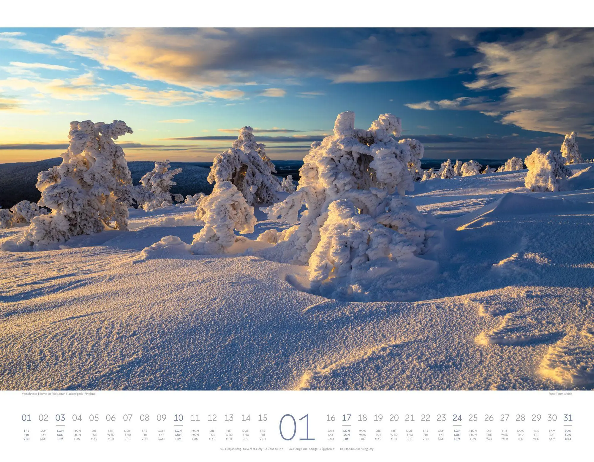 Bild: 9783838427331 | Geheime Paradiese Kalender 2027 | Ackermann Kunstverlag GmbH | 14 S.