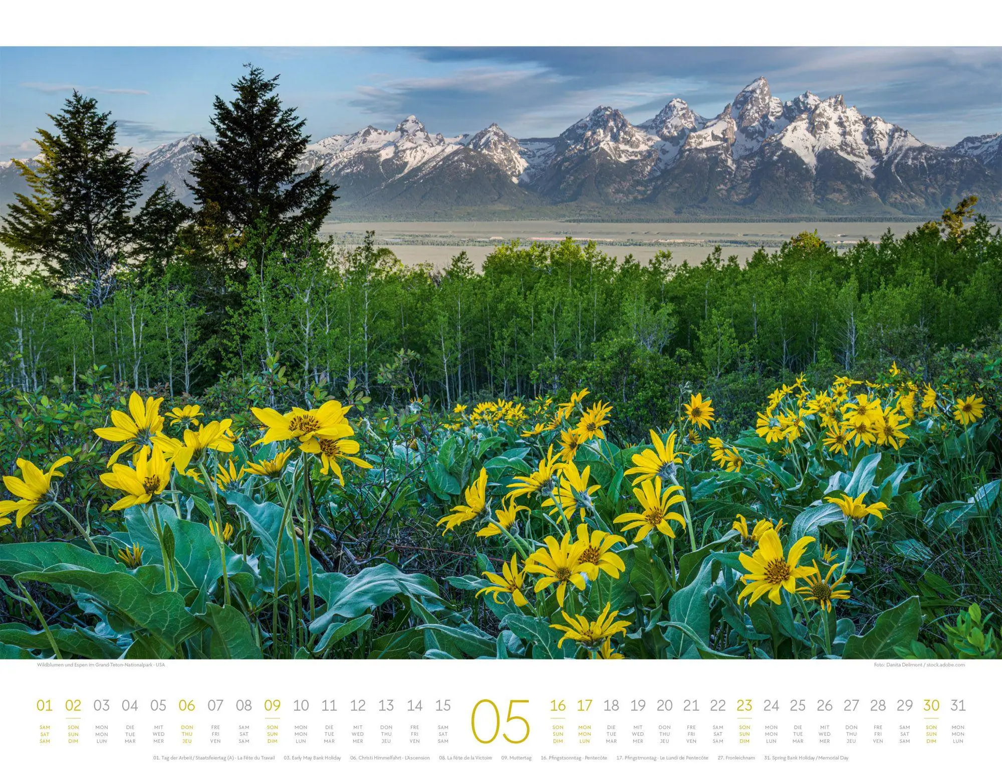 Bild: 9783838427331 | Geheime Paradiese Kalender 2027 | Ackermann Kunstverlag GmbH | 14 S.