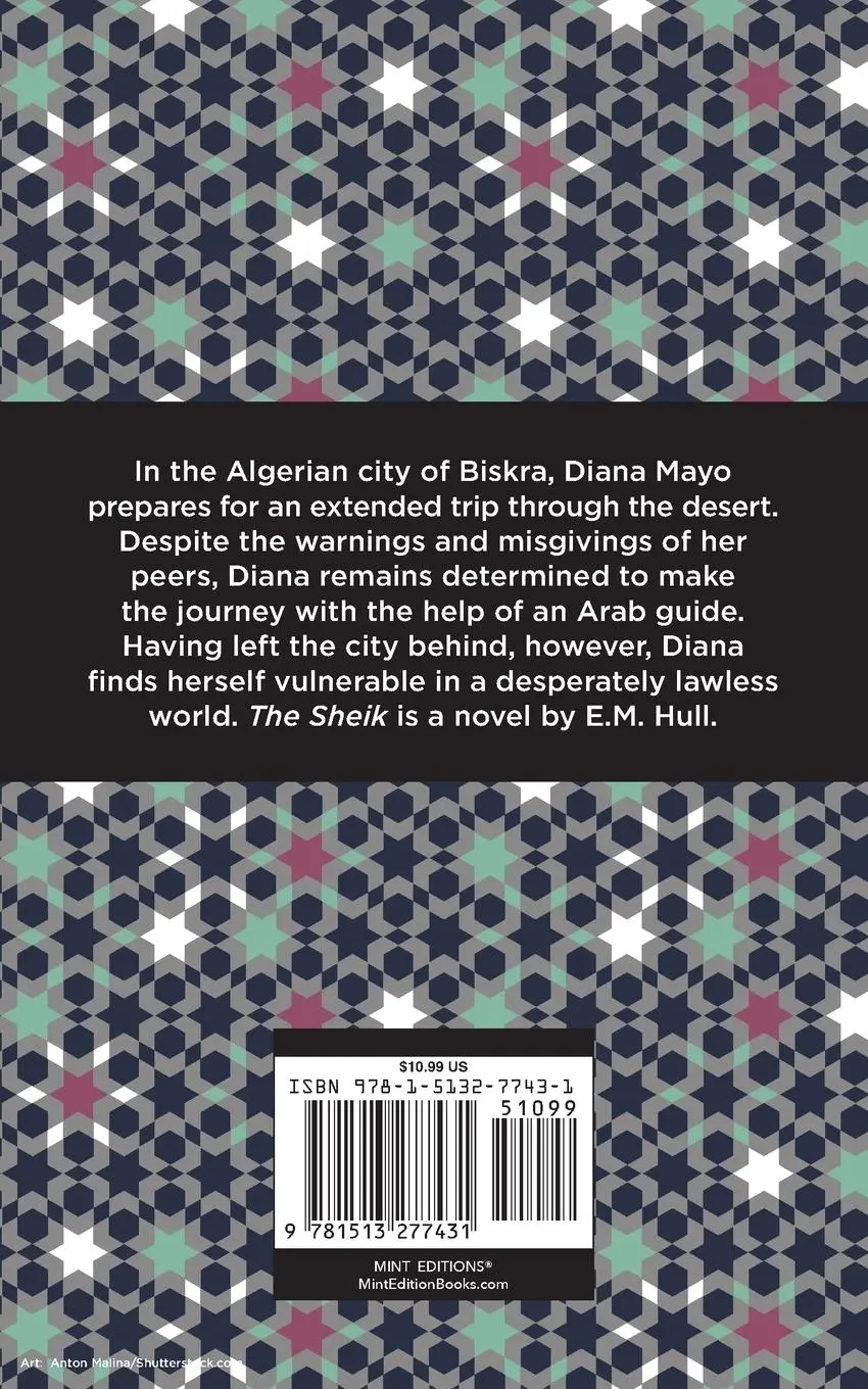 Rückseite: 9781513277431 | The Sheik | E. M. Hull | Taschenbuch | Kartoniert / Broschiert | 2021
