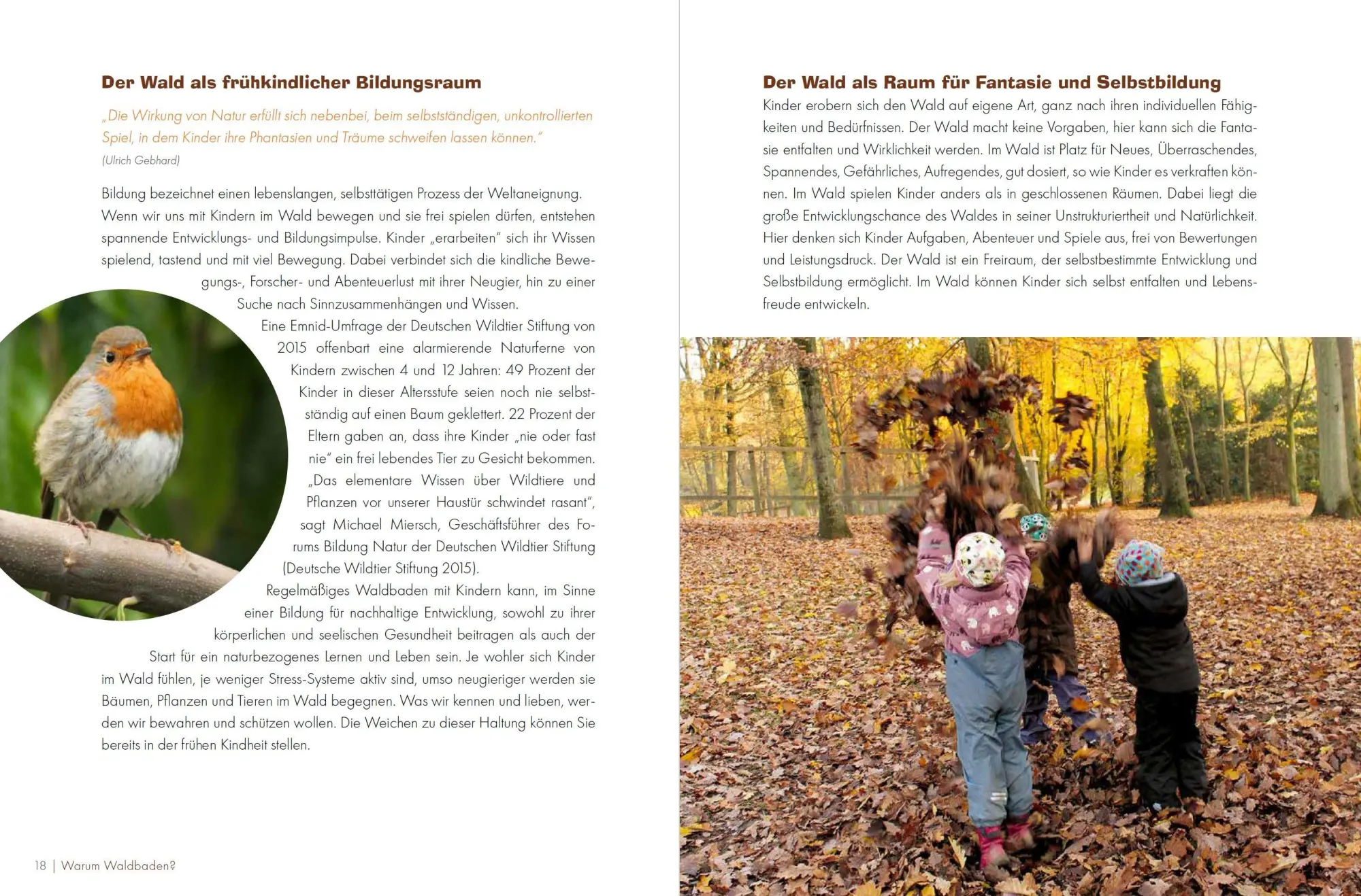 Bild: 9783451397431 | Waldbaden mit Kindern | Achtsamkeit in der Natur | Bestle-Körfer
