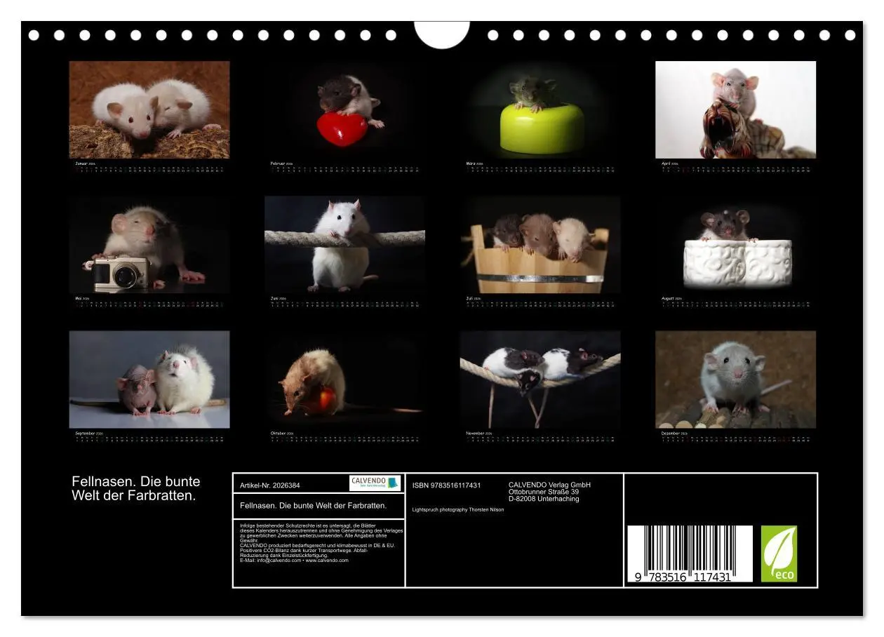 Bild: 9783516117431 | Fellnasen. Die bunte Welt der Farbratten. (Wandkalender 2026 DIN A4...