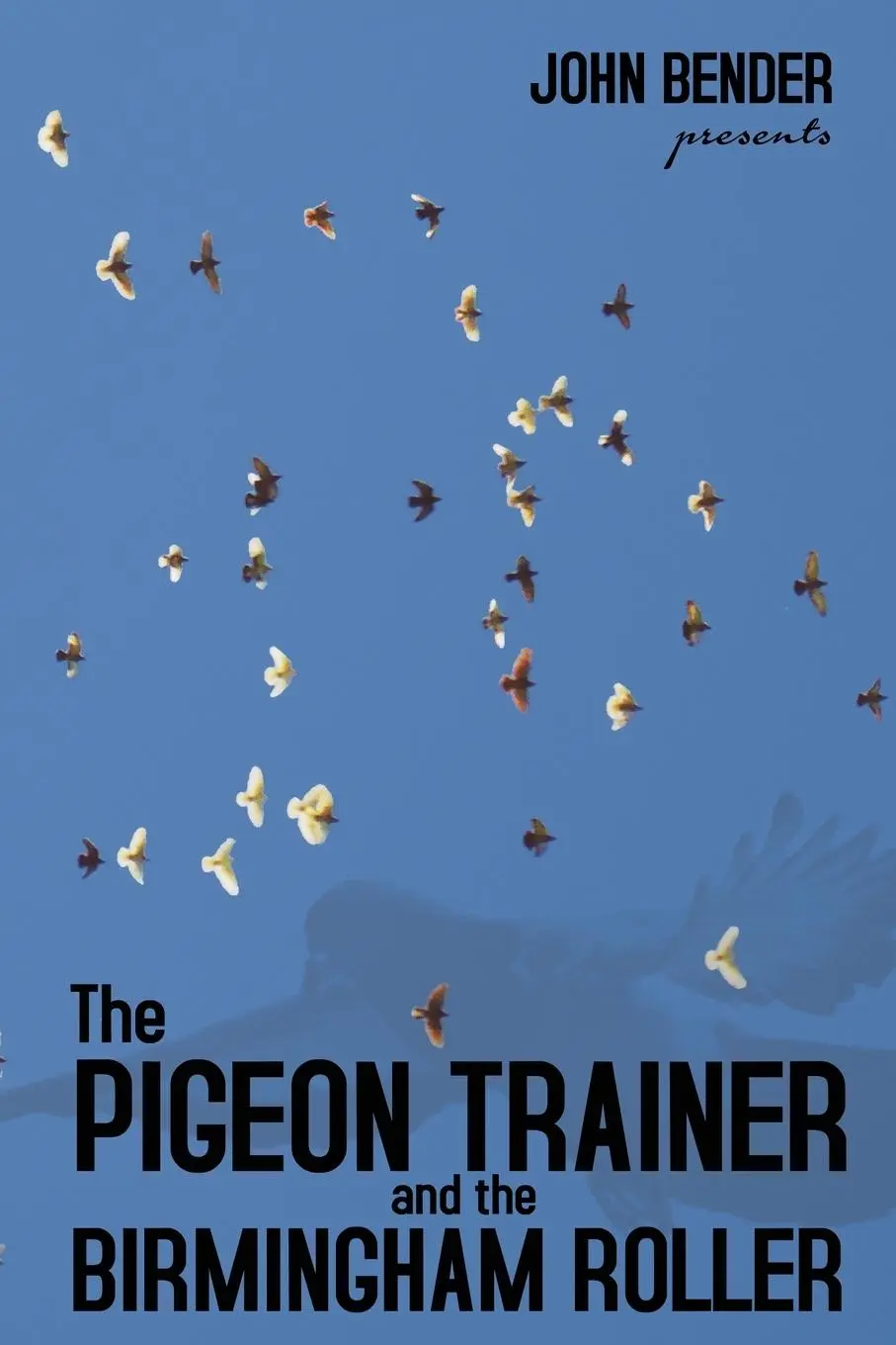 Cover: 9781936307531 | The Pigeon Trainer and the Birmingham Roller | John Bender | Buch