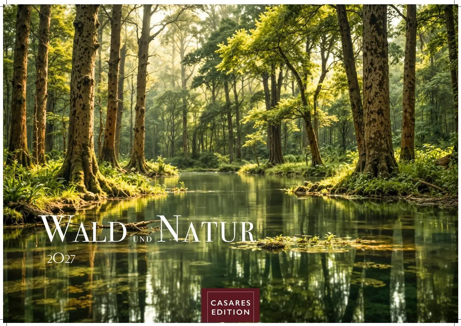 Cover: 9781835247631 | Wald &amp; Natur Kalender 2027 - Wandkalender Fotokalender...