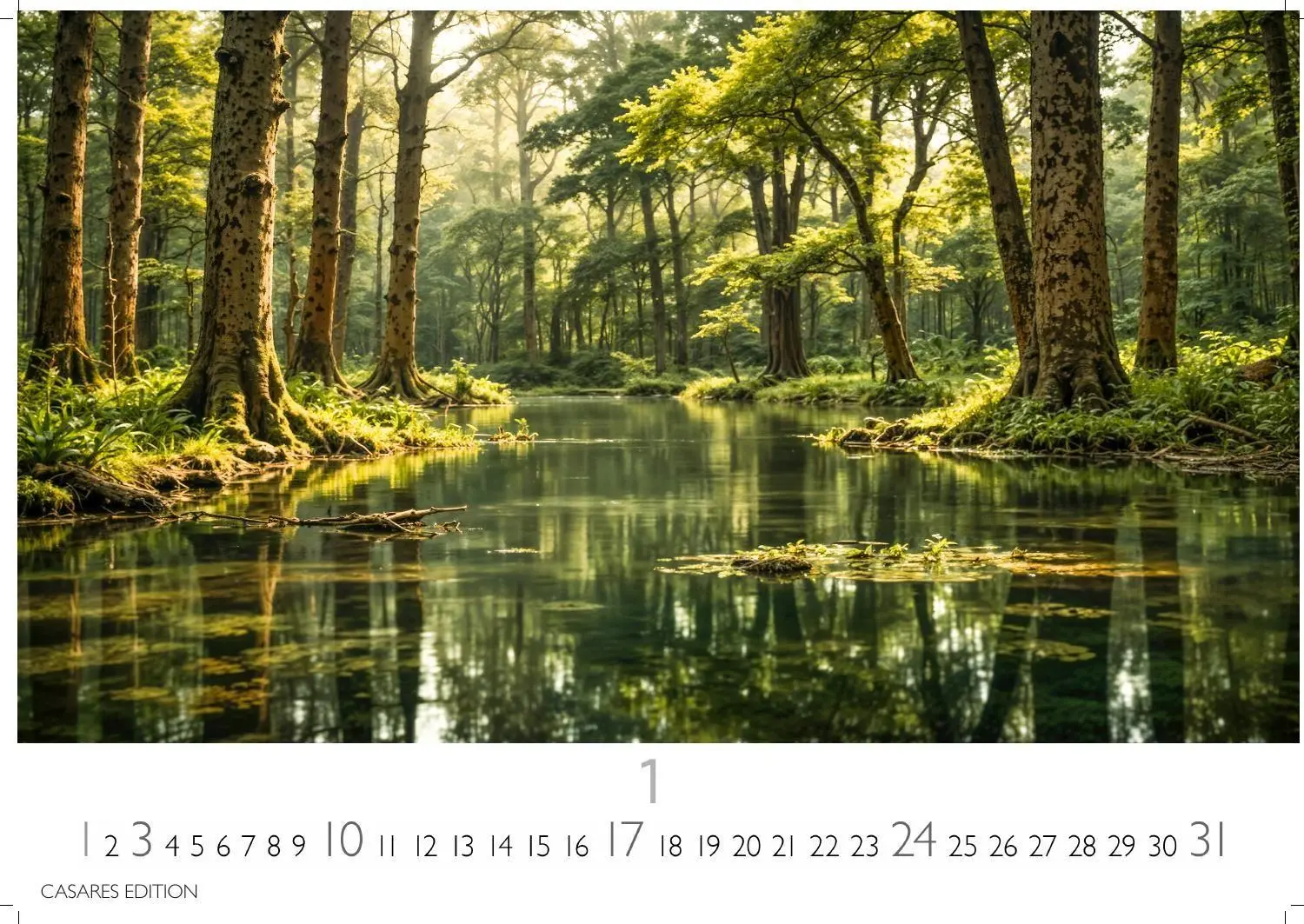 Bild: 9781835247631 | Wald &amp; Natur Kalender 2027 - Wandkalender Fotokalender...