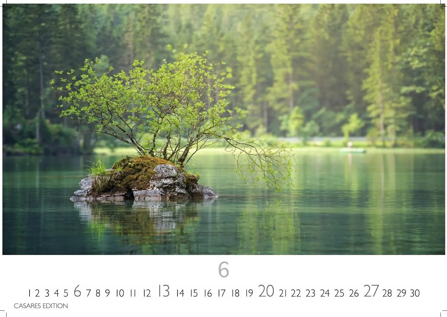 Bild: 9781835247631 | Wald &amp; Natur Kalender 2027 - Wandkalender Fotokalender...
