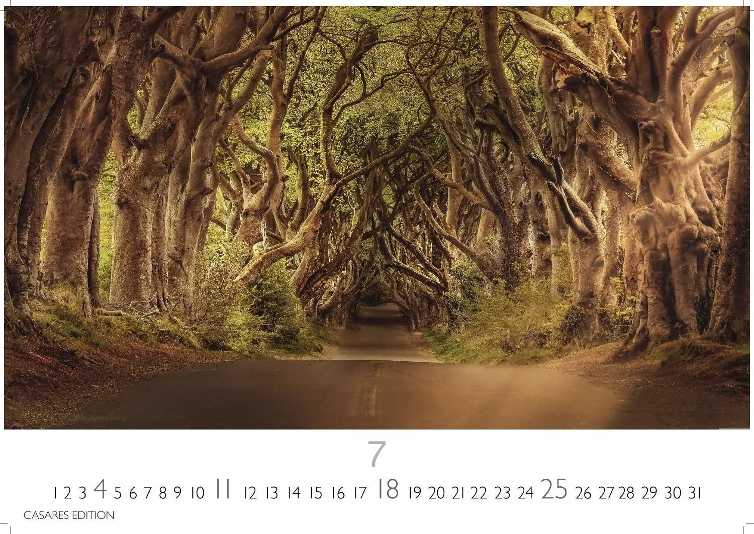 Bild: 9781835247631 | Wald &amp; Natur Kalender 2027 - Wandkalender Fotokalender...