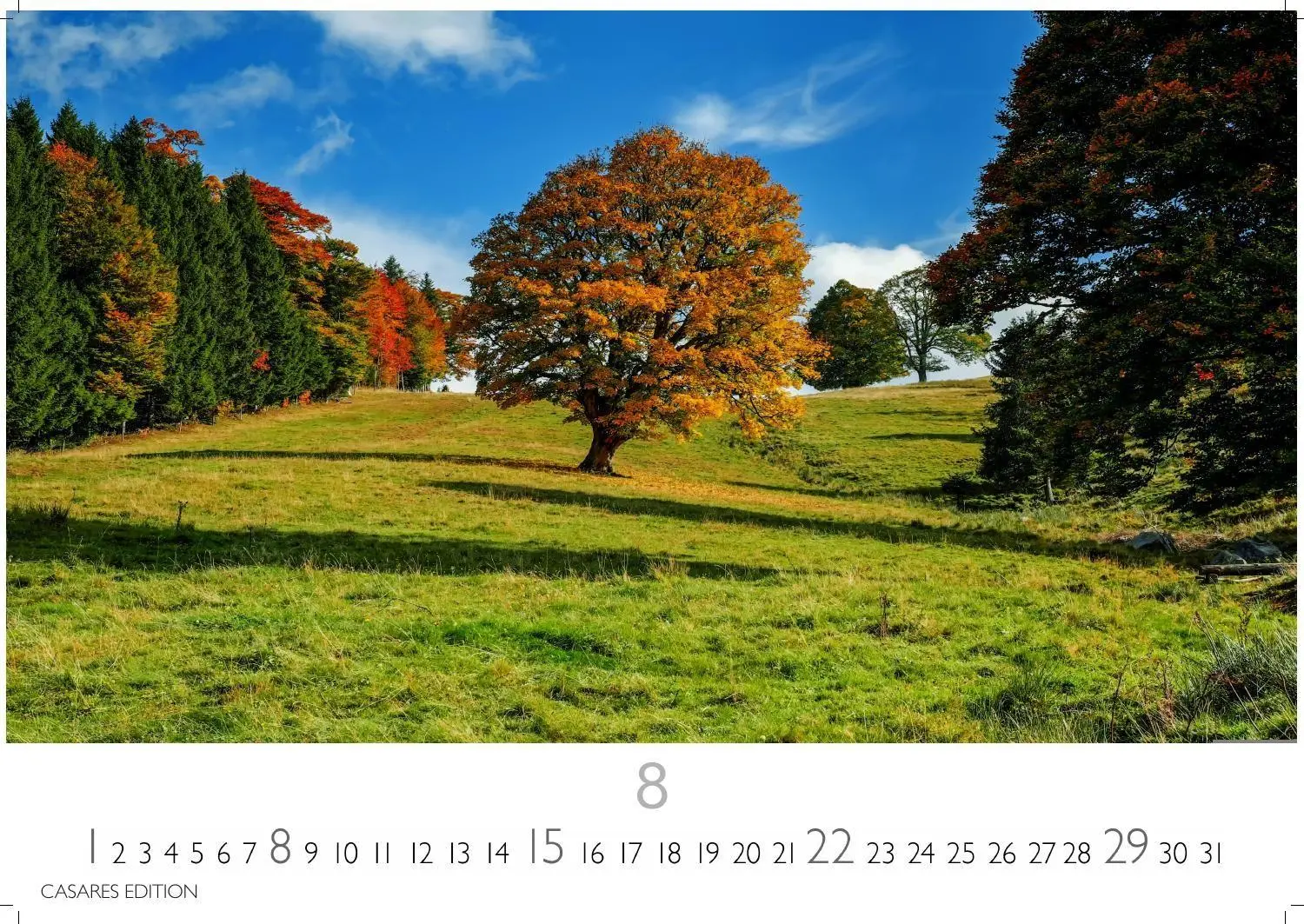 Bild: 9781835247631 | Wald &amp; Natur Kalender 2027 - Wandkalender Fotokalender...