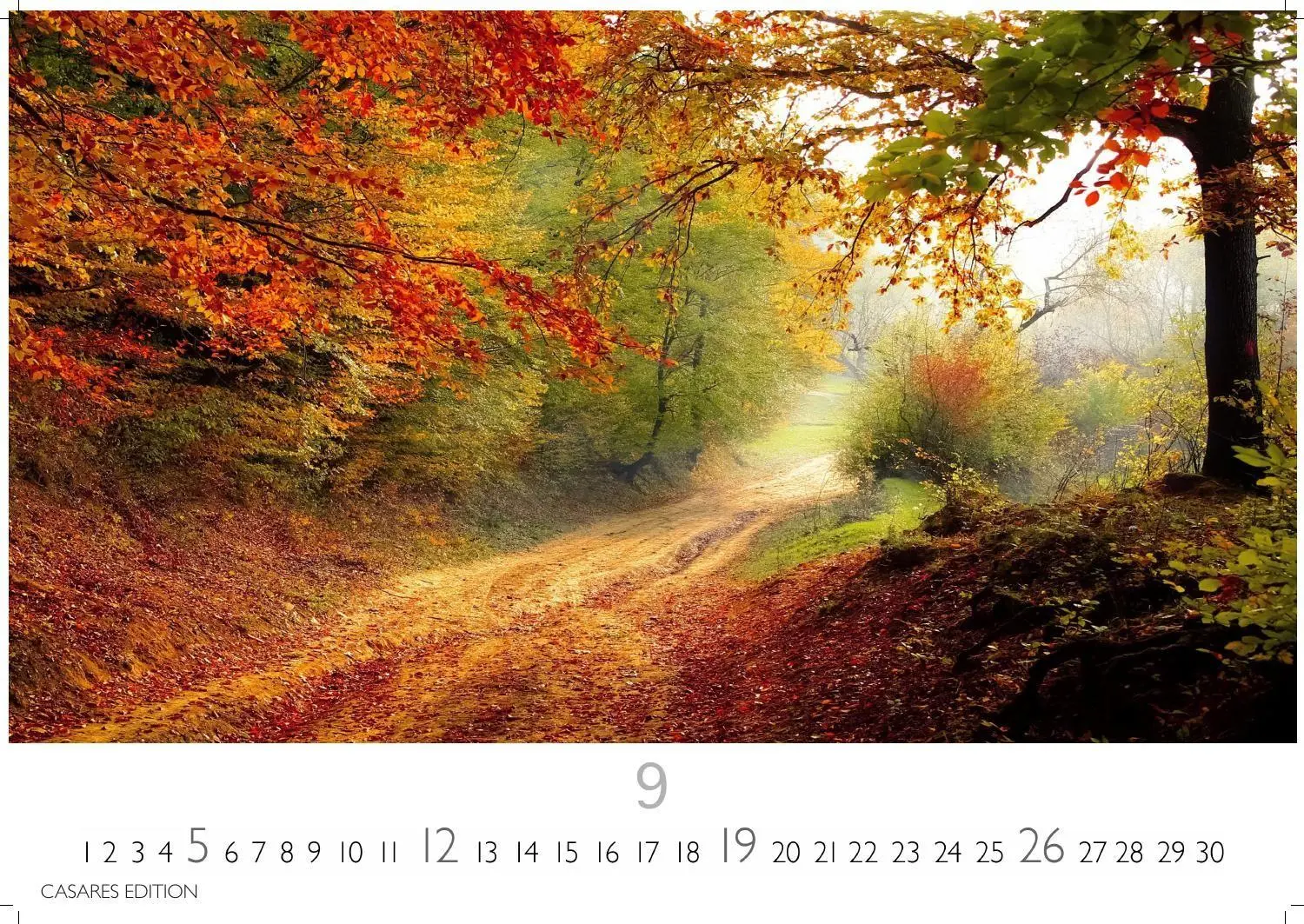 Bild: 9781835247631 | Wald &amp; Natur Kalender 2027 - Wandkalender Fotokalender...