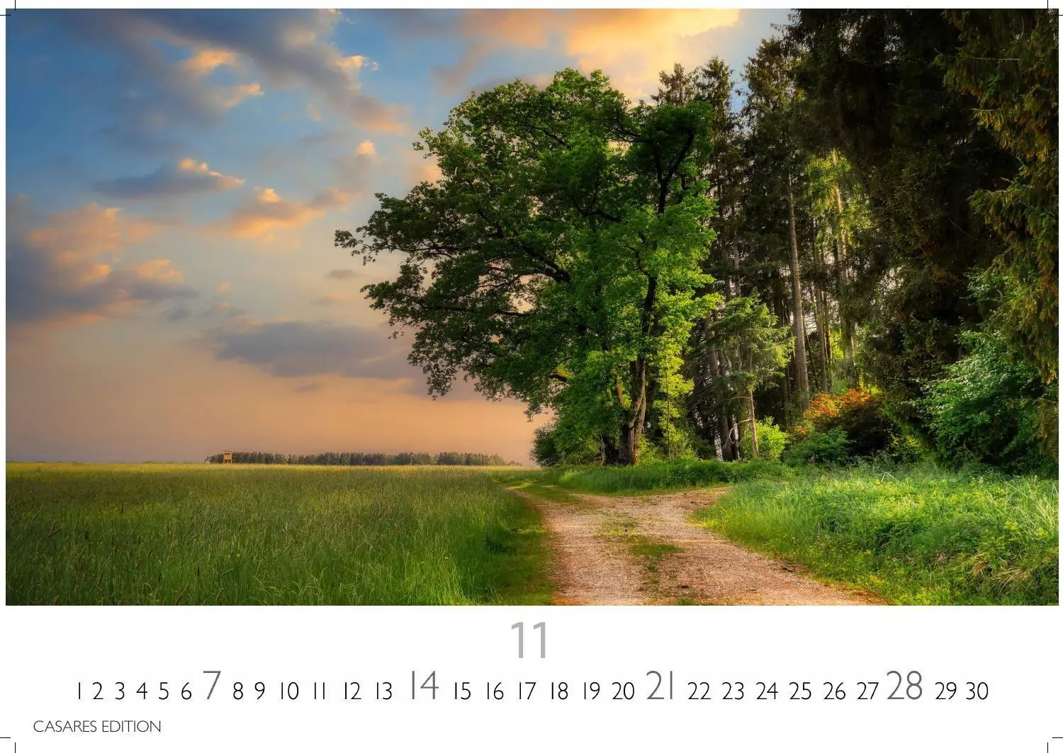 Bild: 9781835247631 | Wald &amp; Natur Kalender 2027 - Wandkalender Fotokalender...