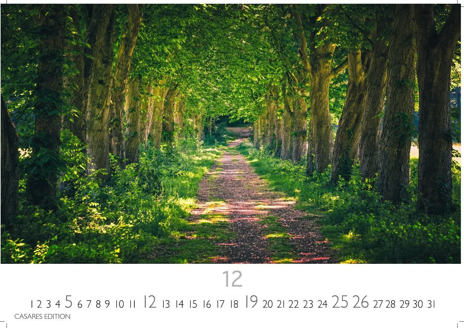Bild: 9781835247631 | Wald &amp; Natur Kalender 2027 - Wandkalender Fotokalender...