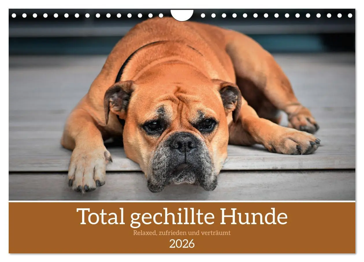 Cover: 9783457307731 | Total gechillte Hunde (Wandkalender 2026 DIN A4 quer), CALVENDO...